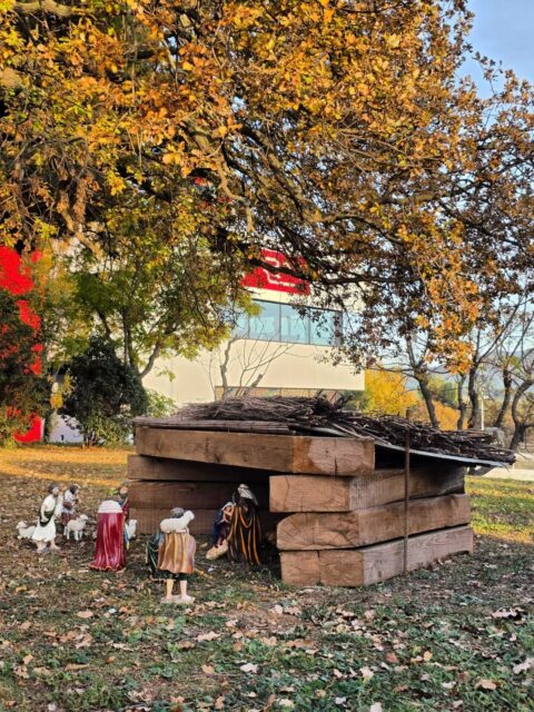 Graella nadalenca preparada!!! ☺️☺️☺️
Parrilla navideña preparada!!! ☺️☺️☺️
Christmas starting grid ready!!! ☺️☺️☺️